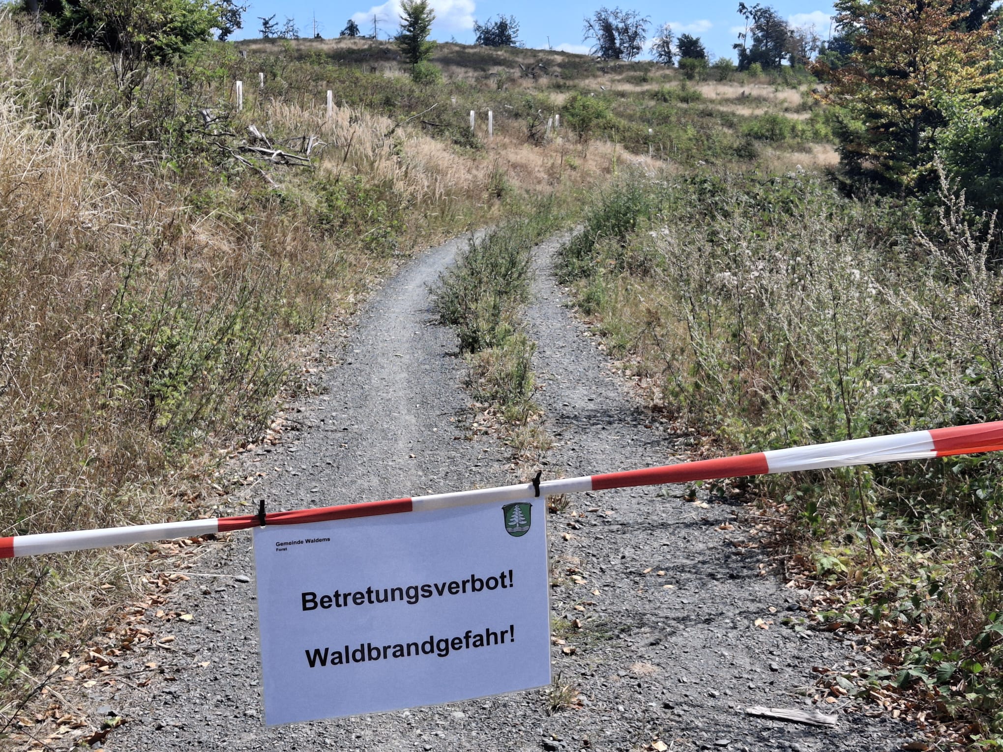Erhöhte Waldbrandgefahr – Forst sperrt Waldwege !