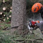 Waldems warnt vor Waldbrandgefahr: Motorgeräteverbot im Wald