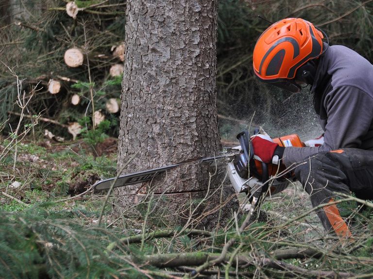 Waldems warnt vor Waldbrandgefahr: Motorgeräteverbot im Wald